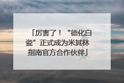 厉害了！“德化白瓷”正式成为米其林指南官方合作伙伴