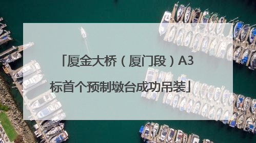 厦金大桥（厦门段）A3标首个预制墩台成功吊装
