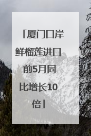 厦门口岸鲜榴莲进口 前5月同比增长10倍