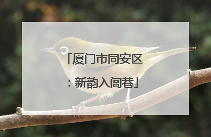 厦门市同安区：新韵入闾巷