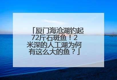 厦门海沧湖钓起72斤石斑鱼！2米深的人工湖为何有这么大的鱼？