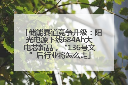 储能赛道竞争升级：阳光电源下线684Ah大电芯新品，“136号文”后行业将怎么走