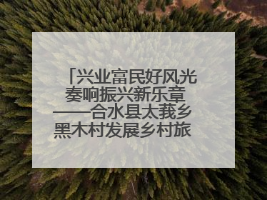 兴业富民好风光 奏响振兴新乐章——合水县太莪乡黑木村发展乡村旅游纪实