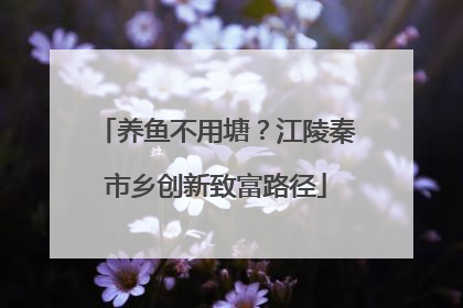 养鱼不用塘？江陵秦市乡创新致富路径
