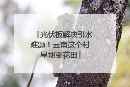 光伏板解决引水难题！云南这个村旱地变花田