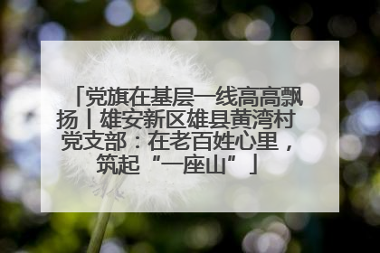 党旗在基层一线高高飘扬丨雄安新区雄县黄湾村党支部：在老百姓心里，筑起“一座山”