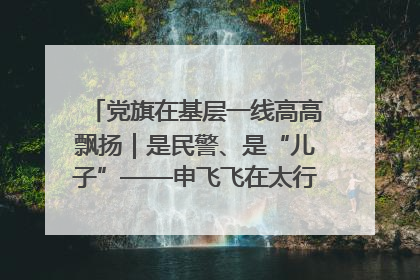 党旗在基层一线高高飘扬｜是民警、是“儿子”——申飞飞在太行山中的一线坚守