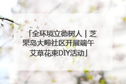 全环境立德树人｜芝罘岛大疃社区开展端午艾草花束DIY活动