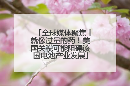全球媒体聚焦丨就像过量的药！美国关税可能阻碍该国电池产业发展