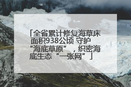 全省累计修复海草床面积938公顷 守护“海底草原”，织密海底生态“一张网”