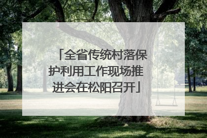 全省传统村落保护利用工作现场推进会在松阳召开