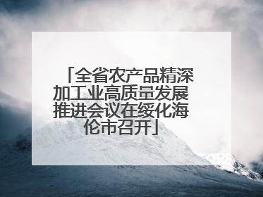 全省农产品精深加工业高质量发展推进会议在绥化海伦市召开