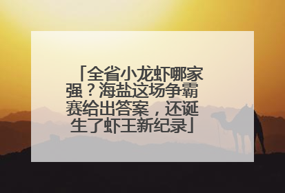 全省小龙虾哪家强？海盐这场争霸赛给出答案，还诞生了虾王新纪录