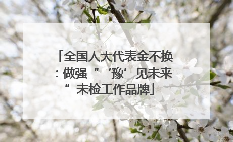 全国人大代表金不换：做强“‘豫’见未来”未检工作品牌