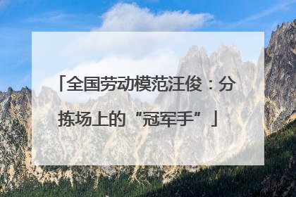全国劳动模范汪俊：分拣场上的“冠军手”