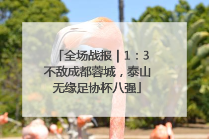 全场战报｜1：3不敌成都蓉城，泰山无缘足协杯八强