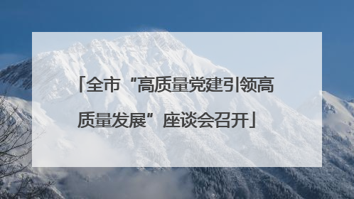 全市“高质量党建引领高质量发展”座谈会召开