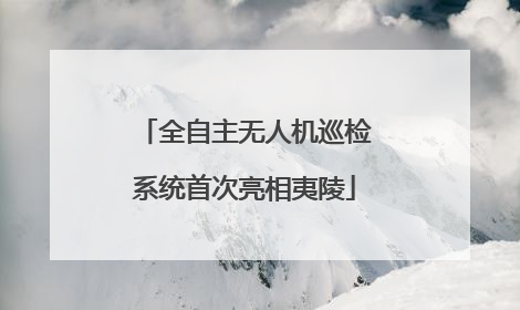 全自主无人机巡检系统首次亮相夷陵