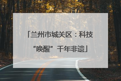 兰州市城关区：科技“唤醒”千年非遗