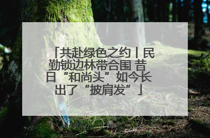 共赴绿色之约丨民勤锁边林带合围 昔日“和尚头”如今长出了“披肩发”