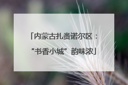 内蒙古扎赉诺尔区：“书香小城”韵味浓