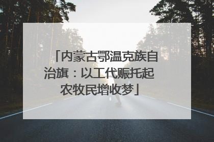 内蒙古鄂温克族自治旗：以工代赈托起农牧民增收梦