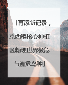 再添新记录，京西稻核心种植区频现世界极危与濒危鸟种