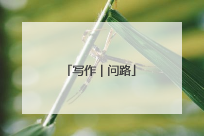 写作｜问路