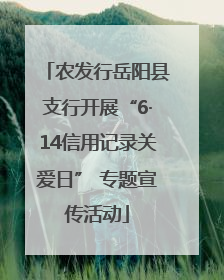 农发行岳阳县支行开展“6·14信用记录关爱日” 专题宣传活动