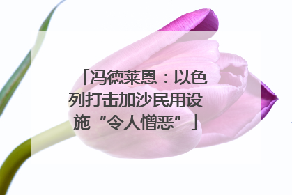 冯德莱恩：以色列打击加沙民用设施“令人憎恶”