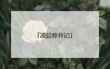 凌晨修井记
