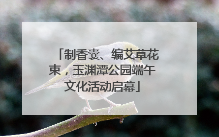 制香囊、编艾草花束，玉渊潭公园端午文化活动启幕