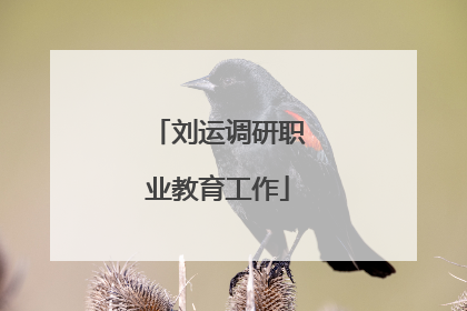 刘运调研职业教育工作