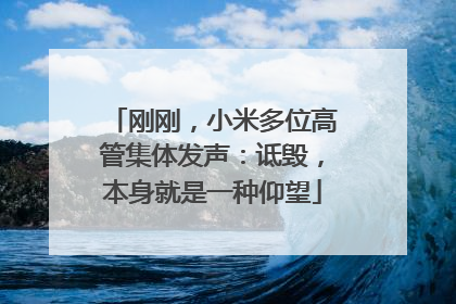 刚刚，小米多位高管集体发声：诋毁，本身就是一种仰望