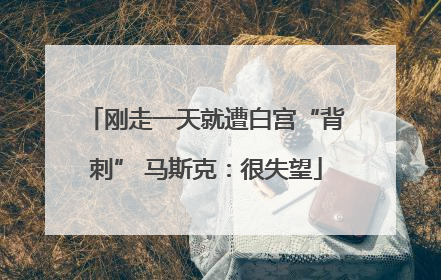 刚走一天就遭白宫“背刺” 马斯克：很失望
