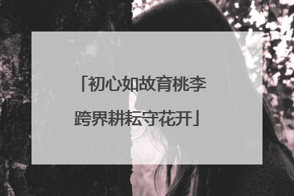 初心如故育桃李 跨界耕耘守花开