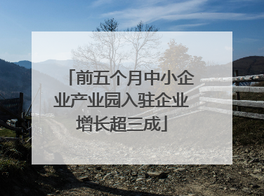 前五个月中小企业产业园入驻企业增长超三成
