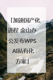 加速国产化进程 金山办公发布WPS AI私有化方案