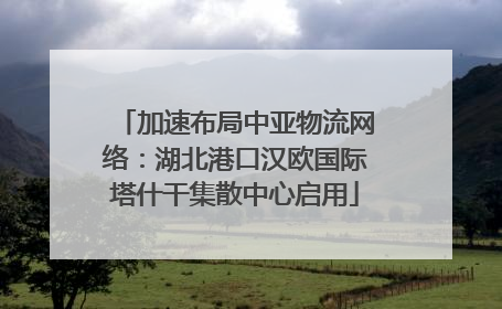加速布局中亚物流网络：湖北港口汉欧国际塔什干集散中心启用