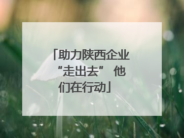 助力陕西企业“走出去” 他们在行动
