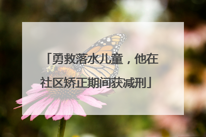 勇救落水儿童，他在社区矫正期间获减刑