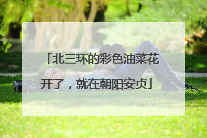 北三环的彩色油菜花开了，就在朝阳安贞