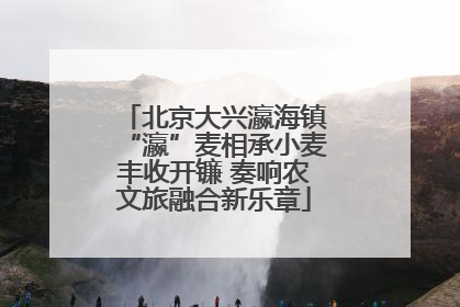 北京大兴瀛海镇“瀛”麦相承小麦丰收开镰 奏响农文旅融合新乐章