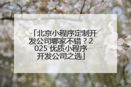 北京小程序定制开发公司哪家不错？2025 优质小程序开发公司之选