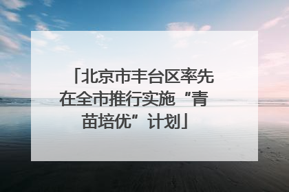 北京市丰台区率先在全市推行实施“青苗培优”计划