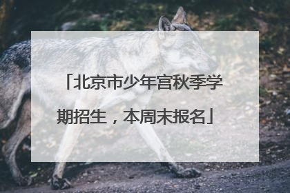 北京市少年宫秋季学期招生，本周末报名