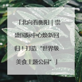 北向看衡阳｜崇盛国际中心焕新回归！打造“世界级美食主题公园”