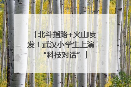 北斗指路+火山喷发！武汉小学生上演“科技对话”