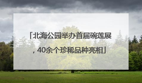 北海公园举办首届碗莲展，40余个珍稀品种亮相