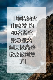 埃特纳火山喷发 约40名游客紧急撤离 温度极高感觉要被烤焦了